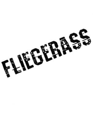 FLIEGERASS Page #4
