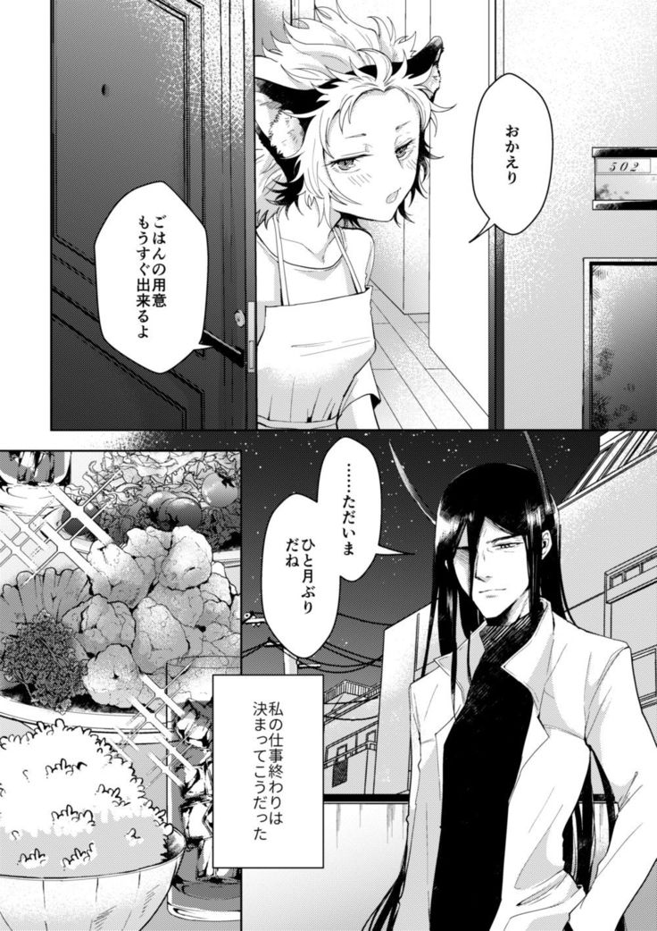 Yoru No Tobari No Aria