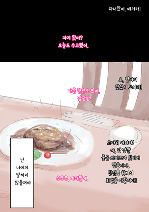 Ienai ～erika～ 【 Korean Ver. 】 - Page 28