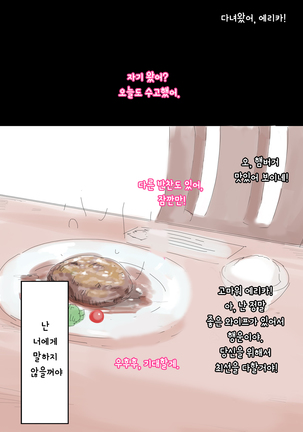 Ienai ～erika～ 【 Korean Ver. 】 Page #28