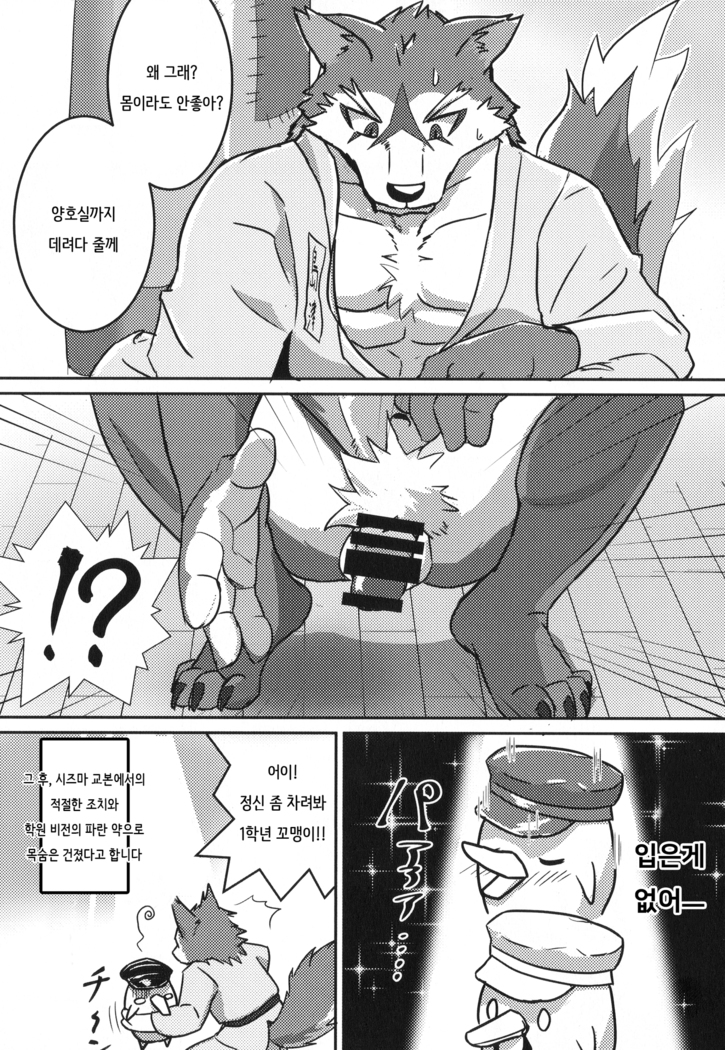 Daketori EVOLUTION