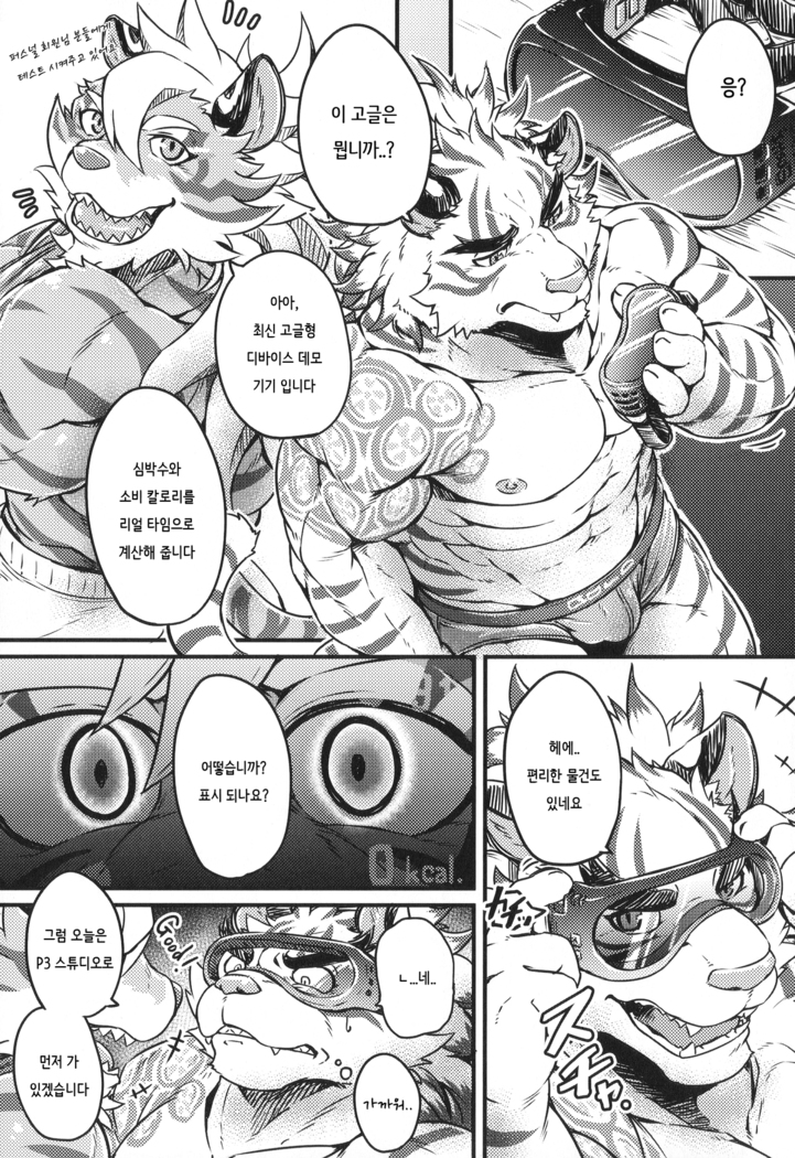 Daketori EVOLUTION