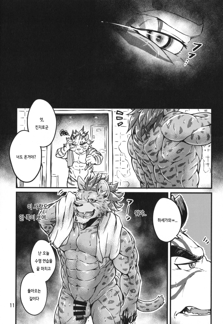 Daketori EVOLUTION