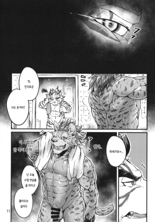 Daketori EVOLUTION