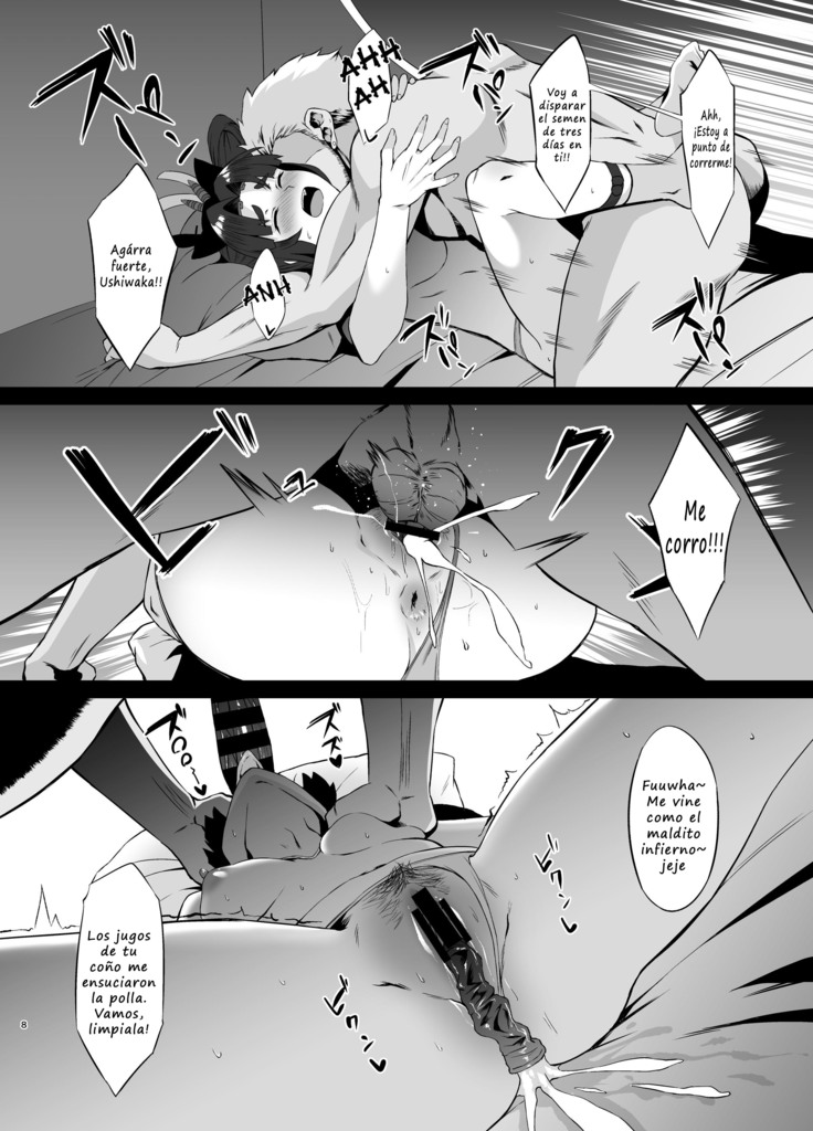 FDO Fate/Dosukebe Order VOL. 2.5