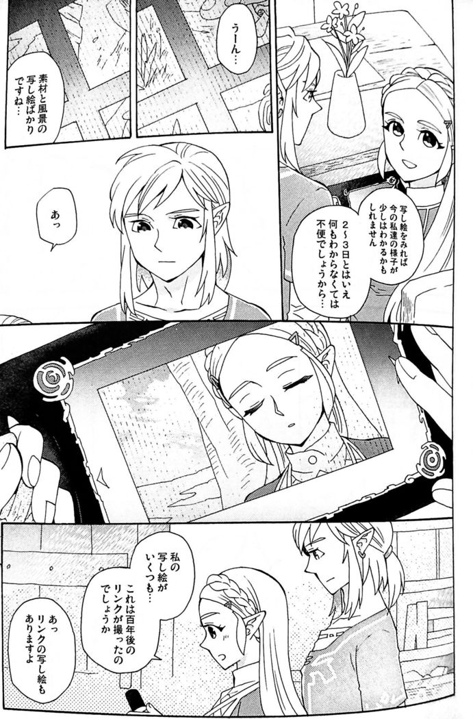 Doujinshi - The Legend of Zelda / Link x Princess Zelda