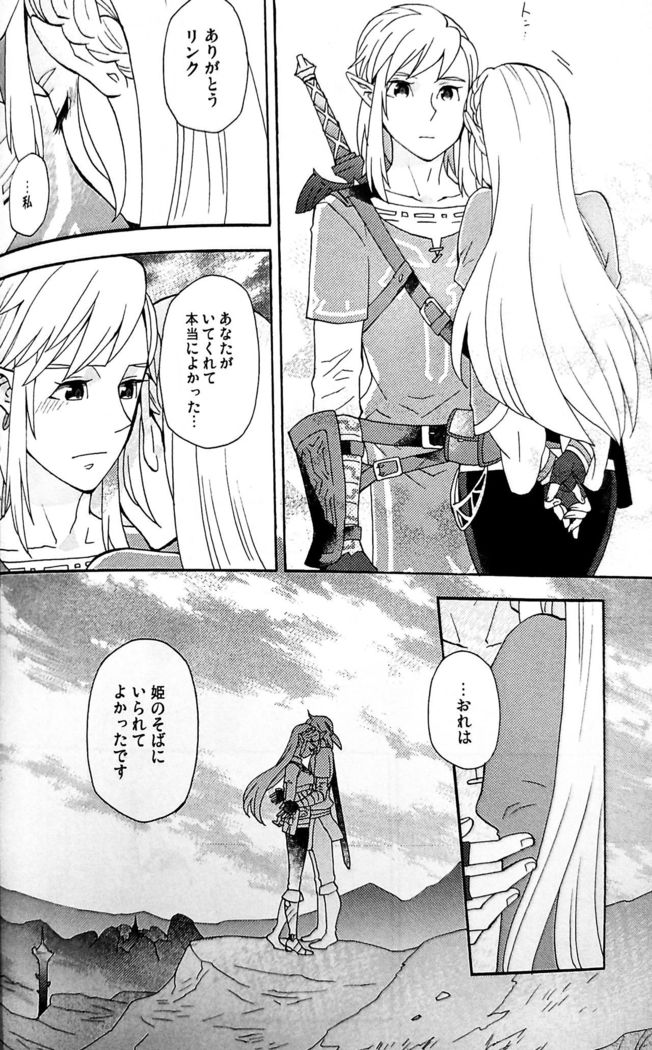 Doujinshi - The Legend of Zelda / Link x Princess Zelda