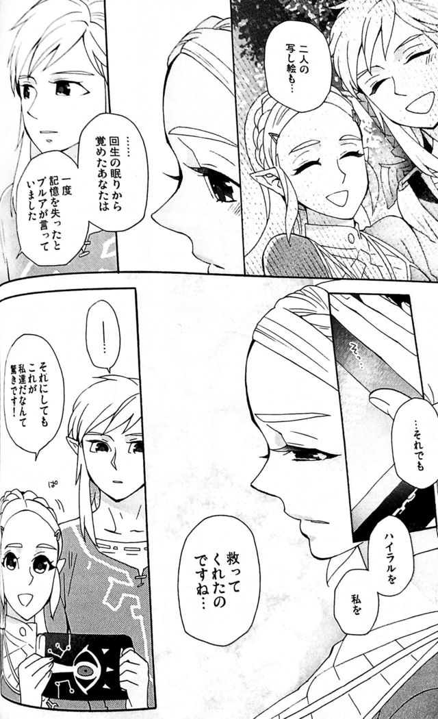 Doujinshi - The Legend of Zelda / Link x Princess Zelda