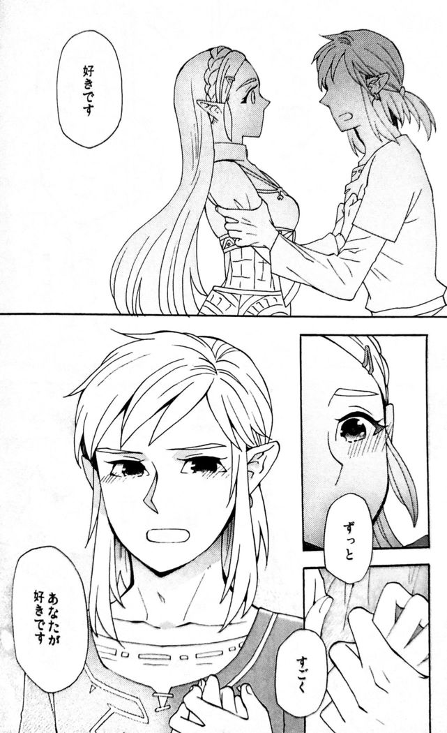 Doujinshi - The Legend of Zelda / Link x Princess Zelda