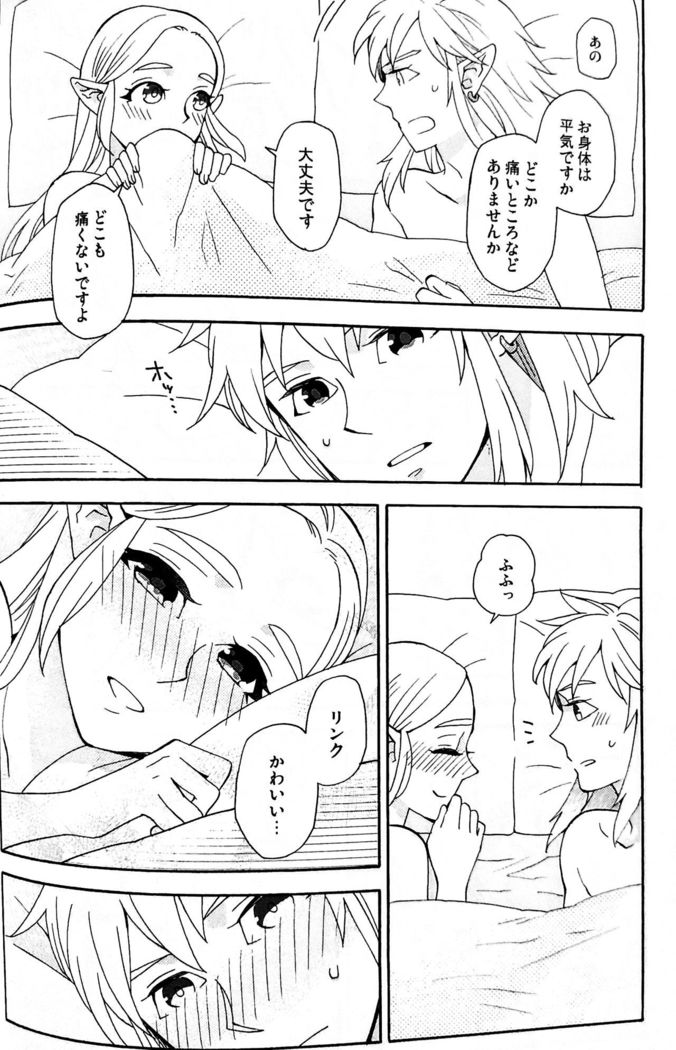 Doujinshi - The Legend of Zelda / Link x Princess Zelda