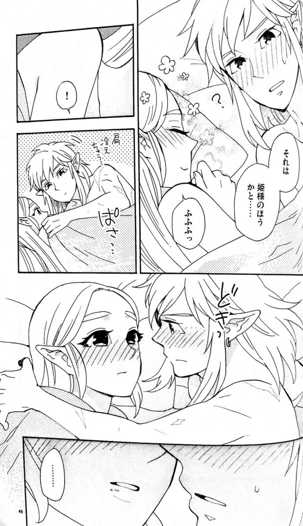 Doujinshi - The Legend of Zelda / Link x Princess Zelda