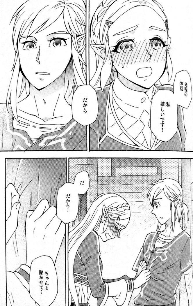 Doujinshi - The Legend of Zelda / Link x Princess Zelda