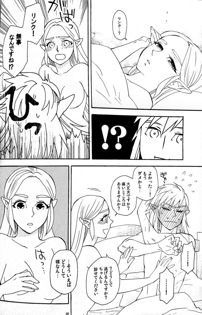 Doujinshi - The Legend of Zelda / Link x Princess Zelda