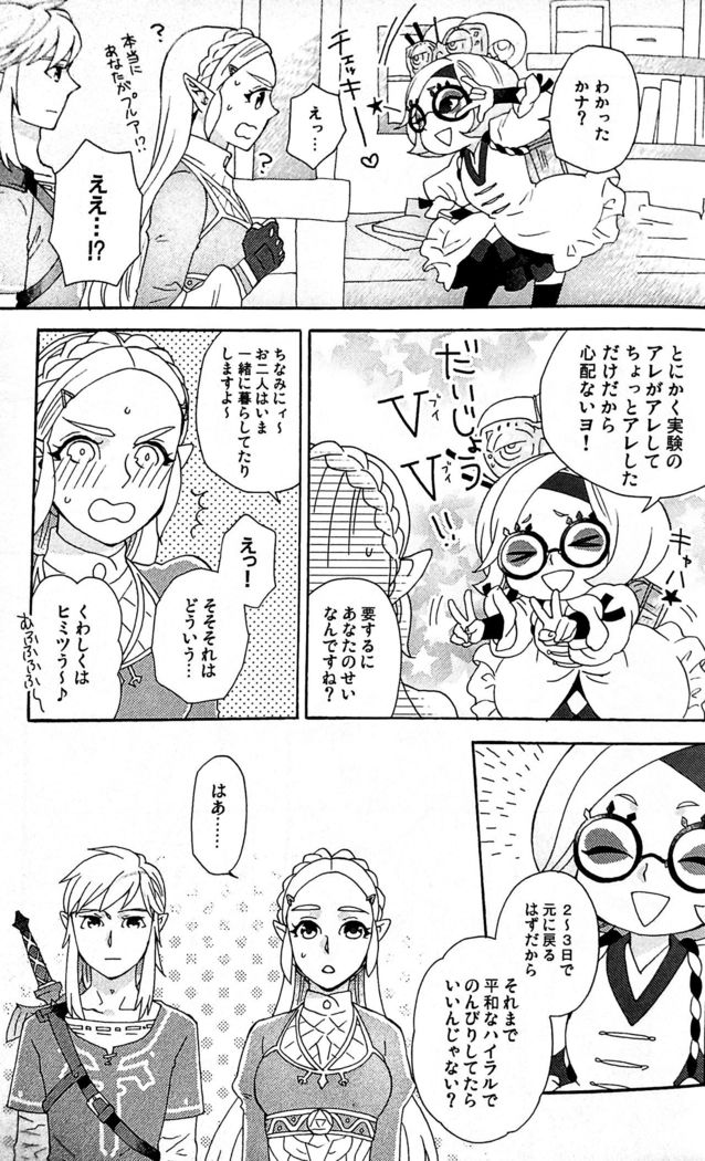 Doujinshi - The Legend of Zelda / Link x Princess Zelda