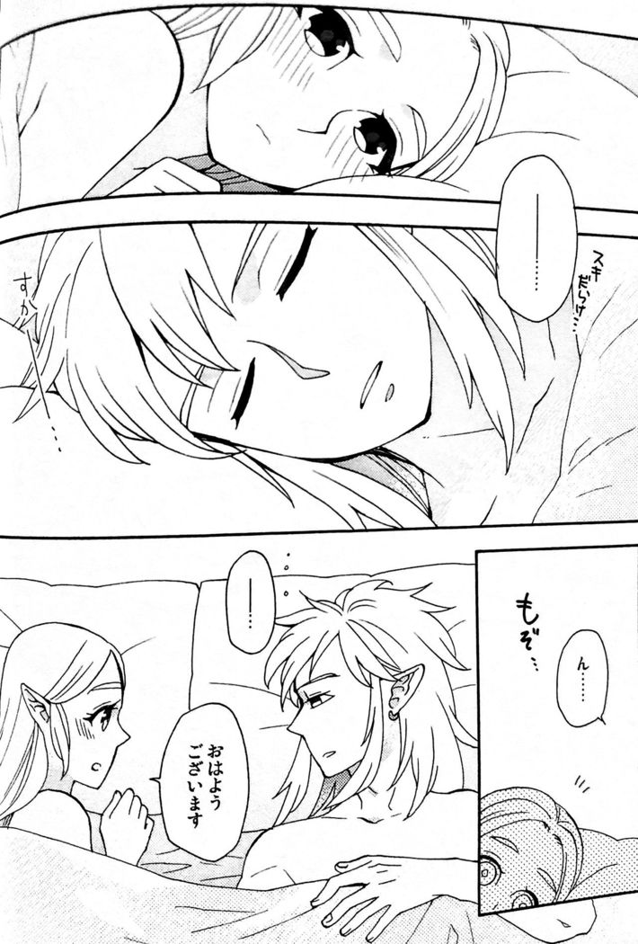 Doujinshi - The Legend of Zelda / Link x Princess Zelda