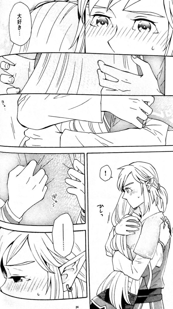 Doujinshi - The Legend of Zelda / Link x Princess Zelda