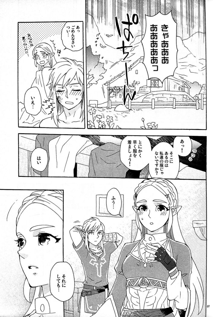 Doujinshi - The Legend of Zelda / Link x Princess Zelda