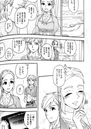 Doujinshi - The Legend of Zelda / Link x Princess Zelda Page #14