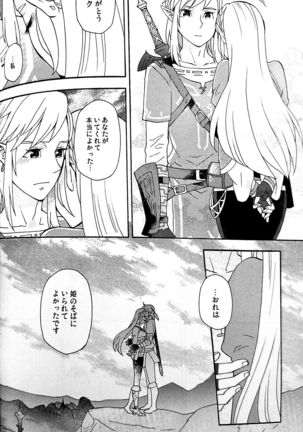 Doujinshi - The Legend of Zelda / Link x Princess Zelda