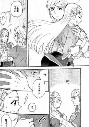 Doujinshi - The Legend of Zelda / Link x Princess Zelda Page #20