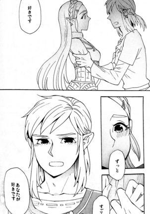 Doujinshi - The Legend of Zelda / Link x Princess Zelda Page #22