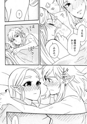 Doujinshi - The Legend of Zelda / Link x Princess Zelda Page #49