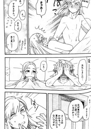 Doujinshi - The Legend of Zelda / Link x Princess Zelda Page #47