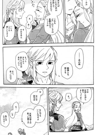 Doujinshi - The Legend of Zelda / Link x Princess Zelda