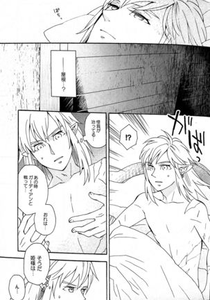 Doujinshi - The Legend of Zelda / Link x Princess Zelda