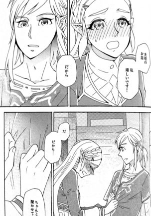 Doujinshi - The Legend of Zelda / Link x Princess Zelda Page #21