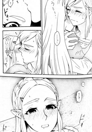 Doujinshi - The Legend of Zelda / Link x Princess Zelda Page #25