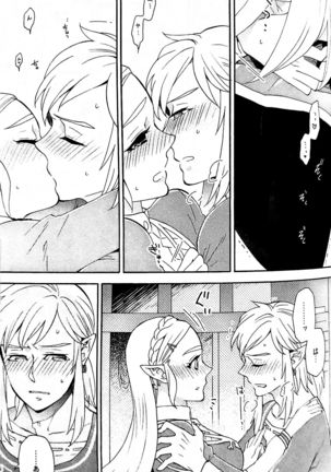 Doujinshi - The Legend of Zelda / Link x Princess Zelda Page #27