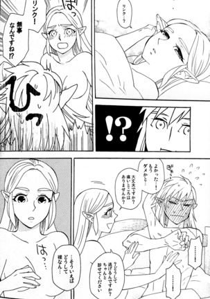 Doujinshi - The Legend of Zelda / Link x Princess Zelda