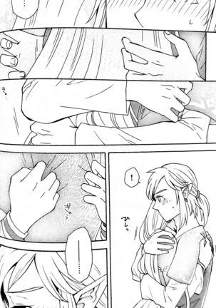 Doujinshi - The Legend of Zelda / Link x Princess Zelda Page #24