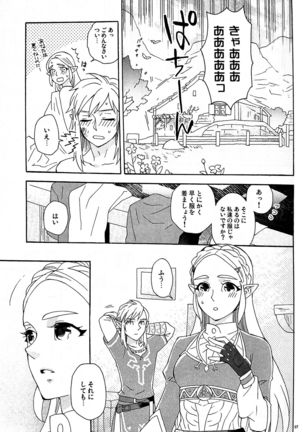 Doujinshi - The Legend of Zelda / Link x Princess Zelda