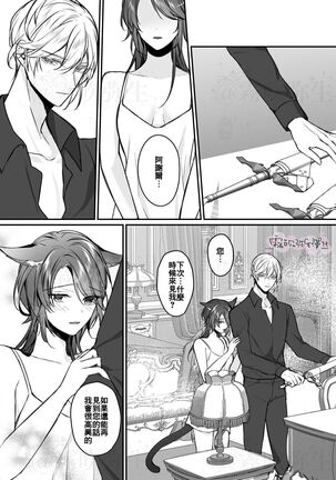 明日のミント 第二王子と黒猫の娼婦  第二王子與黑貓娼婦 【霧吹弥生漢化组】 Page #17