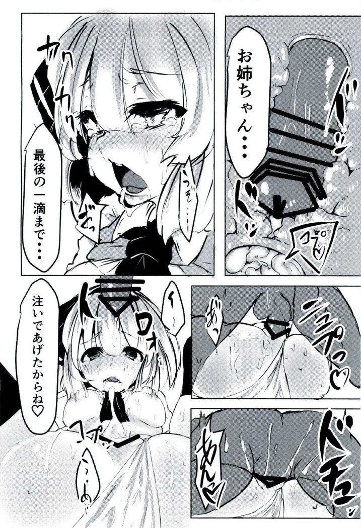 妖夢ちゃんに性教育してもらう本。