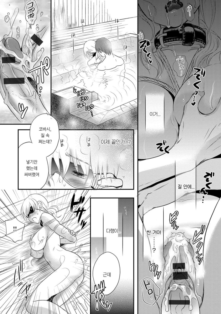 Ichinichi Dorei-san