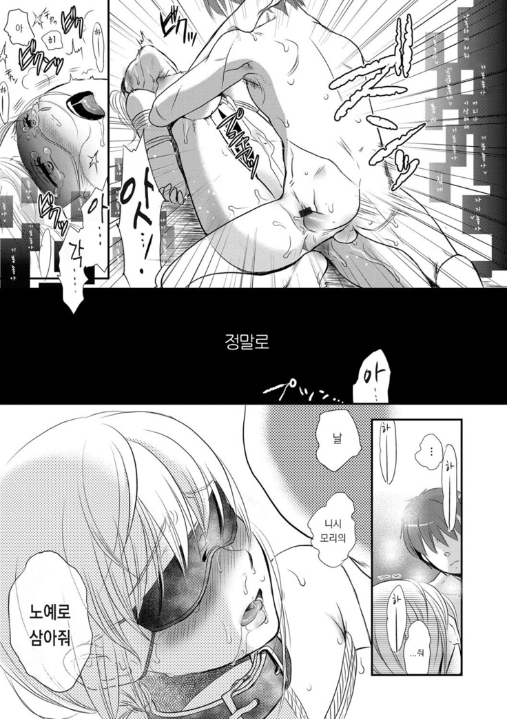Ichinichi Dorei-san