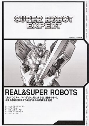 SUPER ROBOT OPERATION 01 Page #42