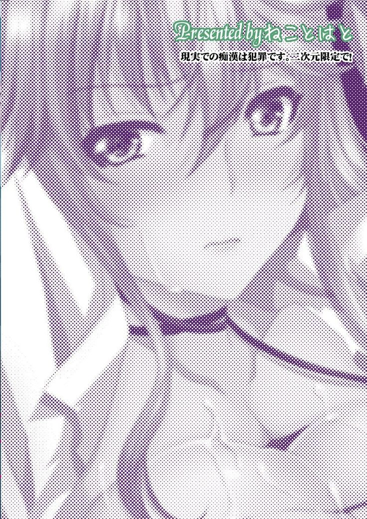Akogare no Josei  wa Chikan Densha de Choukyouzumi Deshita 3 -Kyuuka Hen-