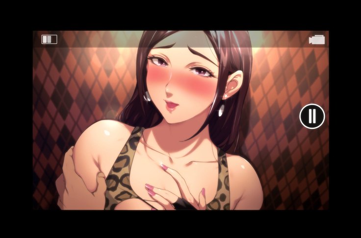 不貞交尾妻 ほのか～婚姻を継続し難い重大な事由～