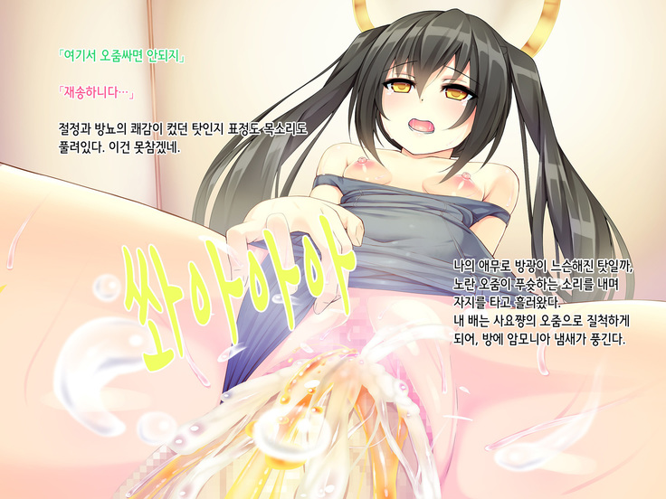 Itoko-chan, Irasshai