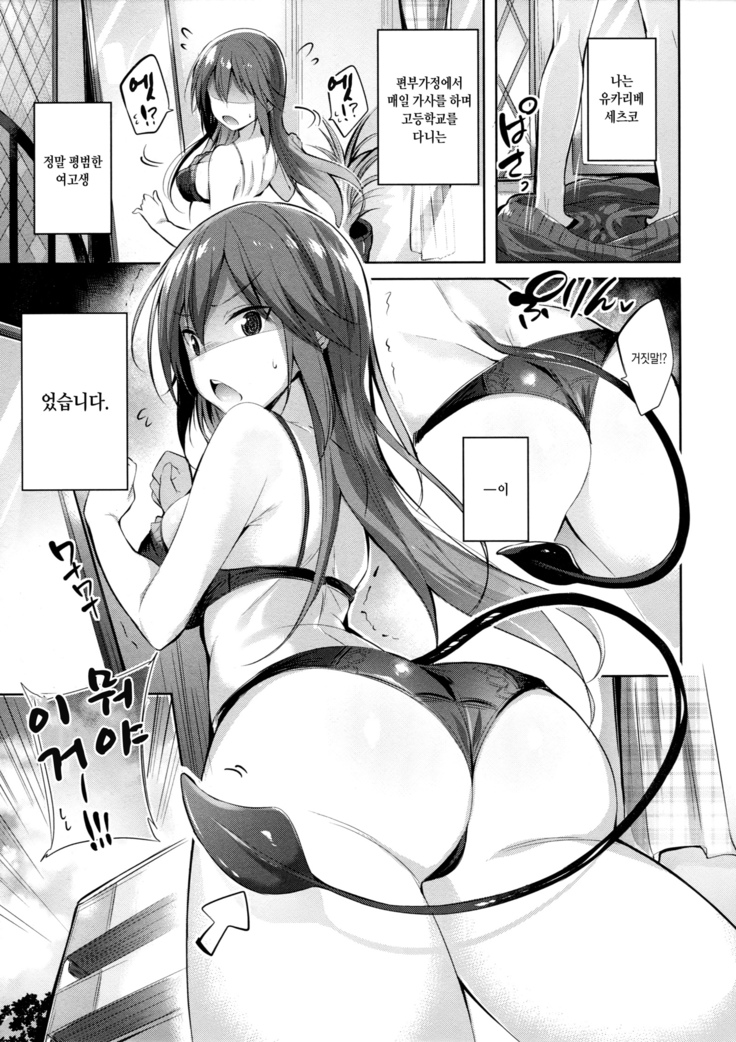 Koakuma Setsuko no Himitsu