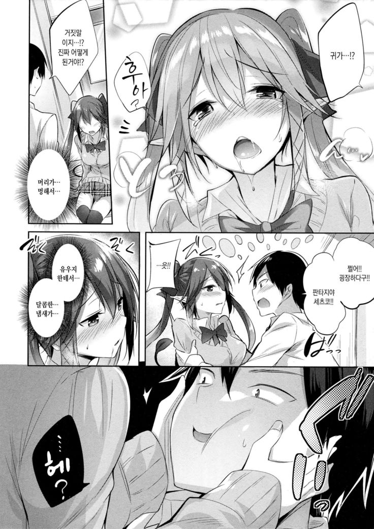 Koakuma Setsuko no Himitsu