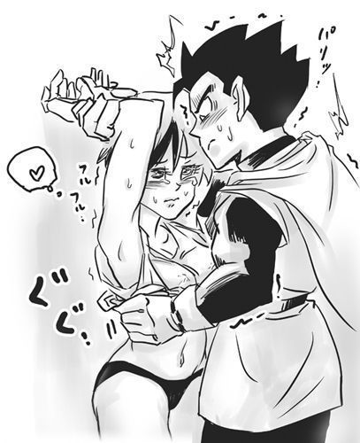 Gohan x Videl Stuff