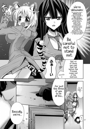 Mermaid Lovers Volume 1 Chapter 1 Page #51