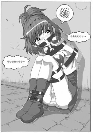 ARLE CHRONICLE - Page 46