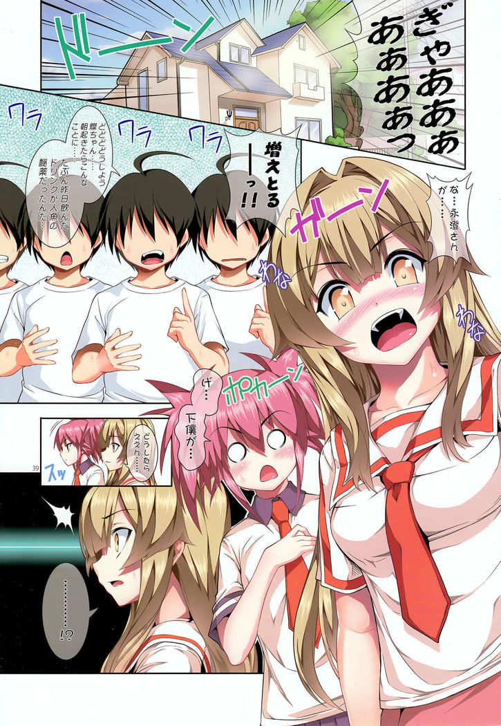 Nayamashi Quartet 1 & 2 Full Color Soushuuhen