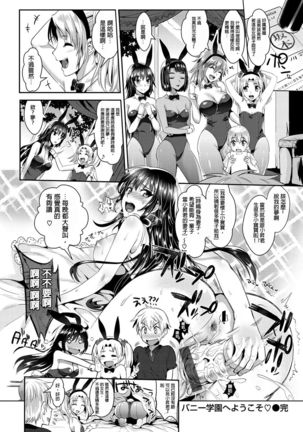 Bunny Gakuen e Youkoso Page #47